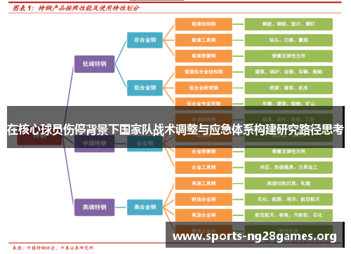 在核心球员伤停背景下国家队战术调整与应急体系构建研究路径思考